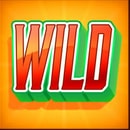 Символ Wild.